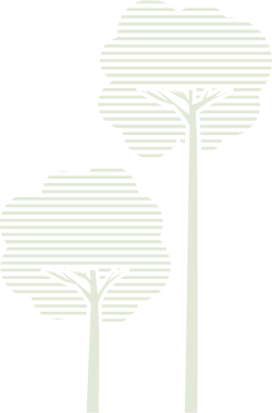 Carbon Credit Exchange Development